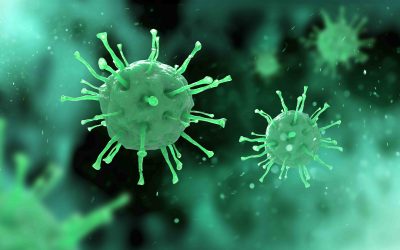 Update on the NDIS and coronavirus temporary measures